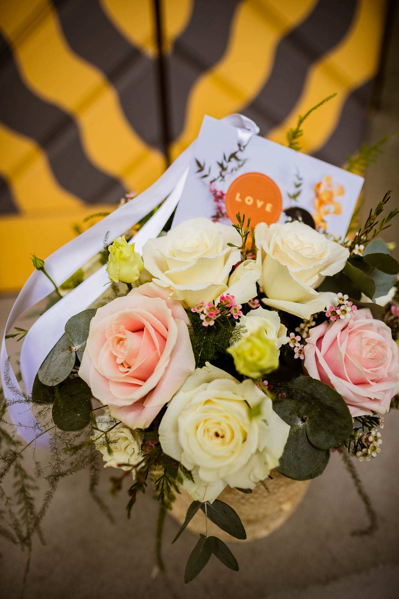 Export x3 1DX29858 Hochzeit 2020 Monika & Sharru